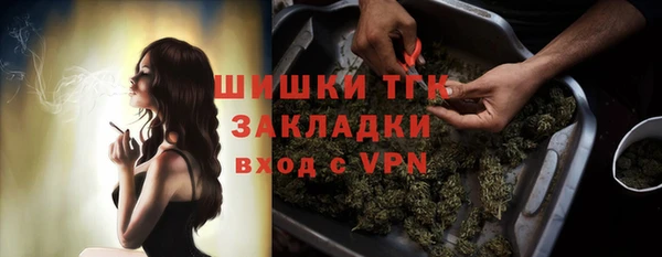 тгк Няндома