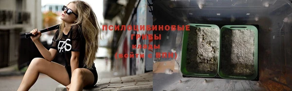 дмт Новокубанск