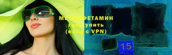 индика Новодвинск