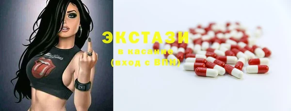 индика Новодвинск