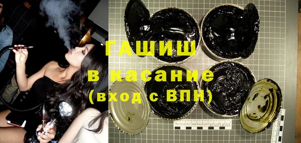 индика Новодвинск
