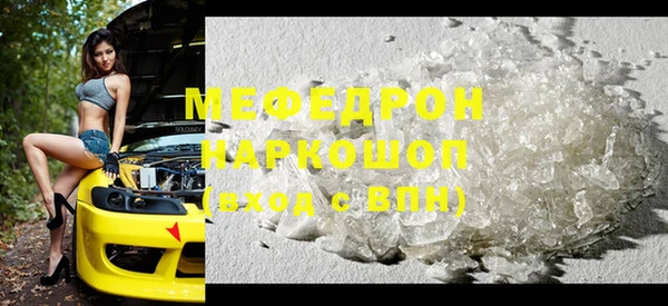 индика Новодвинск