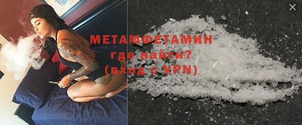 индика Новодвинск
