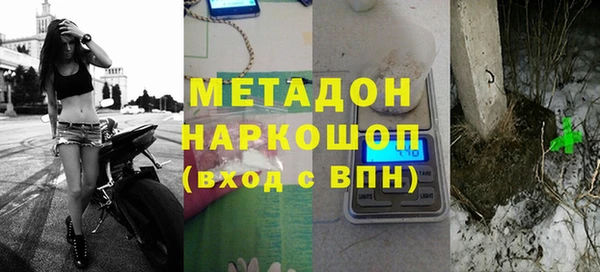 индика Новодвинск