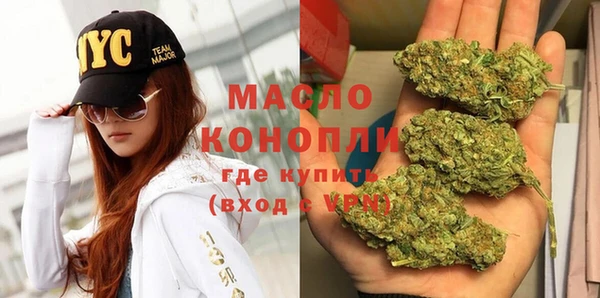 индика Новодвинск