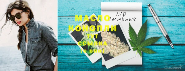 индика Новодвинск