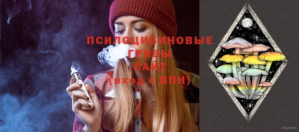 индика Новодвинск