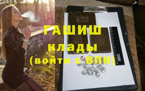 индика Новодвинск