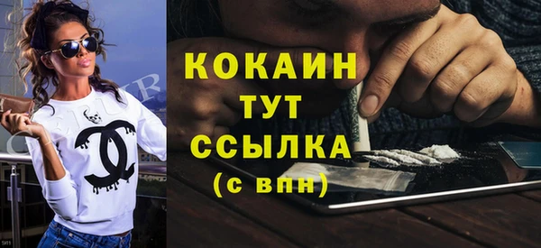 индика Новодвинск