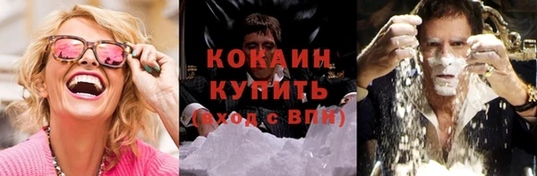 индика Новодвинск